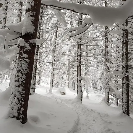 Ziva Pod Babou Horou 山林小屋