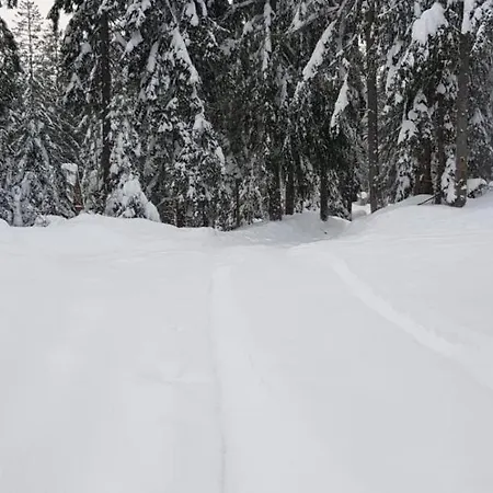 Ziva Pod Babou Horou * Oravská Polhora
