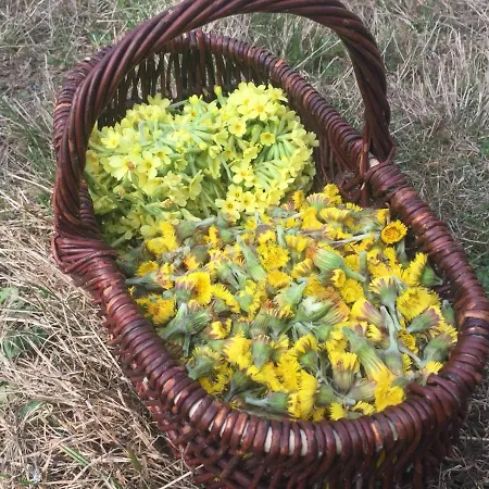 Chata živa Pod Babou Horou Oravská Polhora