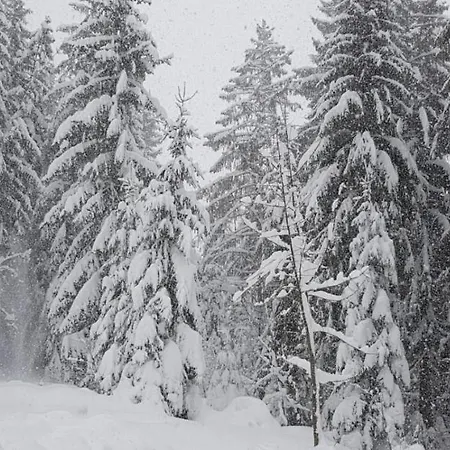 Ziva Pod Babou Horou 山林小屋 *