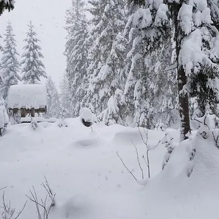 Chata živa Pod Babou Horou *