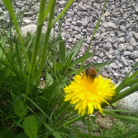 Ziva Pod Babou Horou 山林小屋 Oravská Polhora