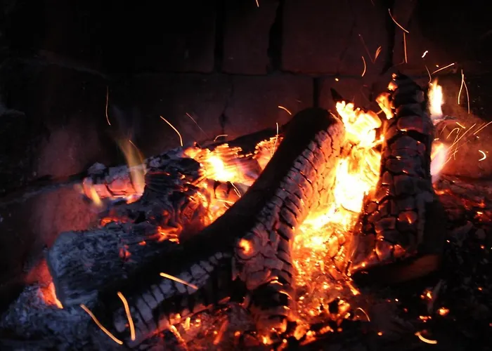 Orman Evi Ziva Pod Babou Horou *