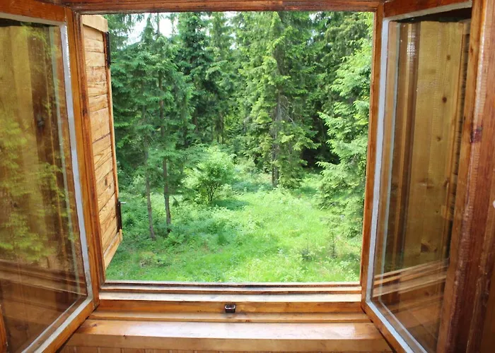 Ziva Pod Babou Horou Orman Evi