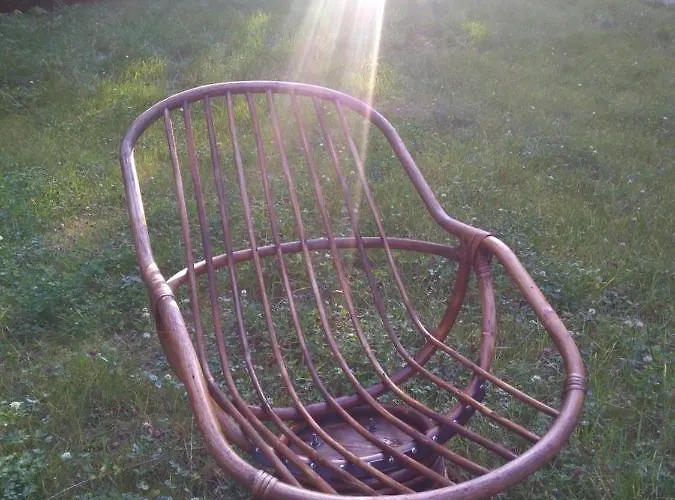 Orman Evi Ziva Pod Babou Horou *