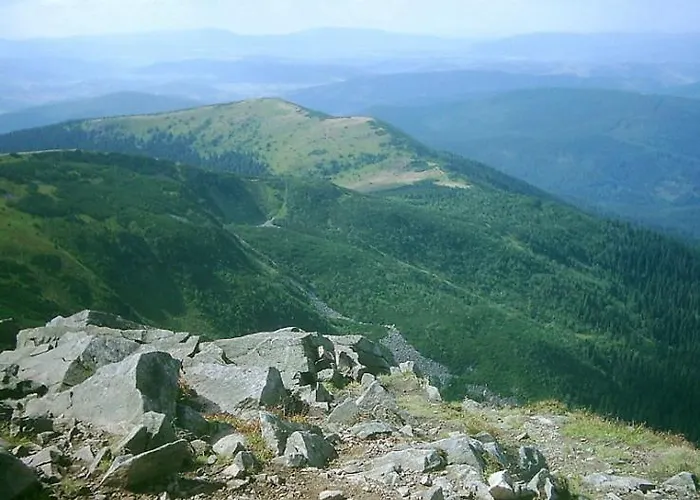 Orman Evi Ziva Pod Babou Horou Oravská Polhora