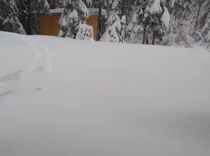 Ziva Pod Babou Horou Orman Evi Oravská Polhora