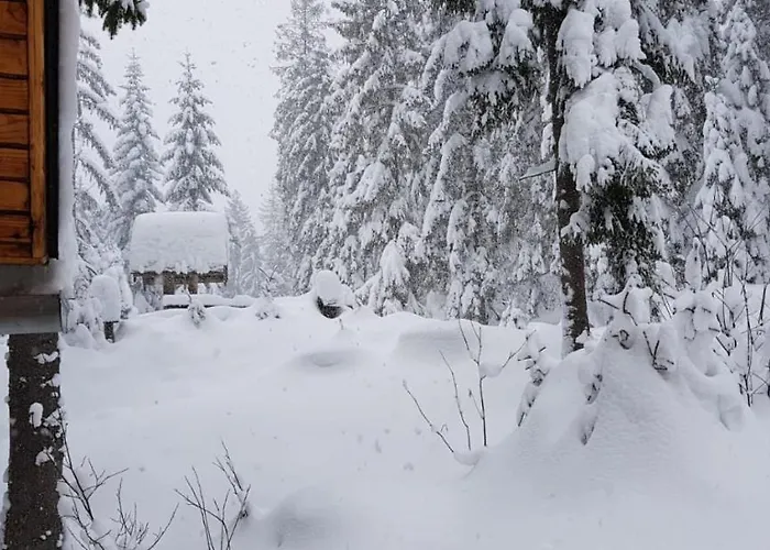 Orman Evi Ziva Pod Babou Horou *