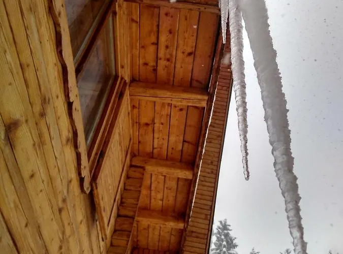 Ziva Pod Babou Horou Orman Evi *