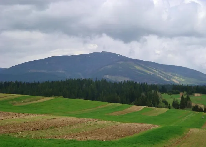 Ziva Pod Babou Horou Orman Evi Oravská Polhora