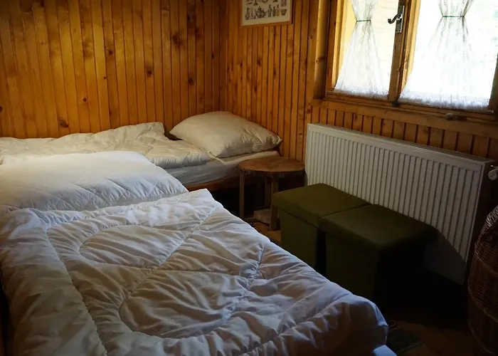 Orman Evi Ziva Pod Babou Horou *