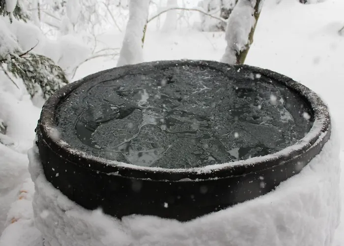 Orman Evi Ziva Pod Babou Horou *