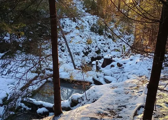 Ziva Pod Babou Horou Oravská Polhora