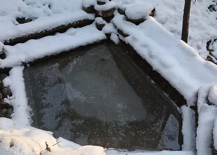 Ziva Pod Babou Horou Orman Evi